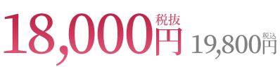 税込 19800円